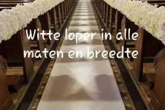 witteloper